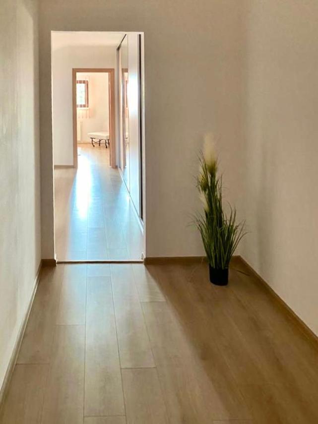 Casa Dima Hotel Konstanca Kültér fotó